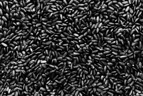 Black rice background texture, dark wild long grain natural rice, jasmine rice closeup