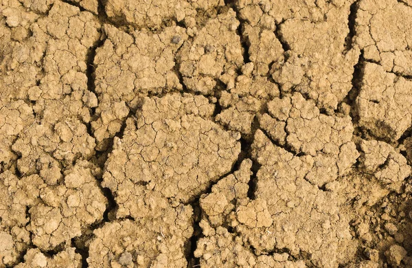 Ραγισμένη Άργιλος Υφή Επιφάνεια Αποξηραμένα Και Τεμαχισμένα Κίτρινο Χώμα Σχισμή — Φωτογραφία Αρχείου