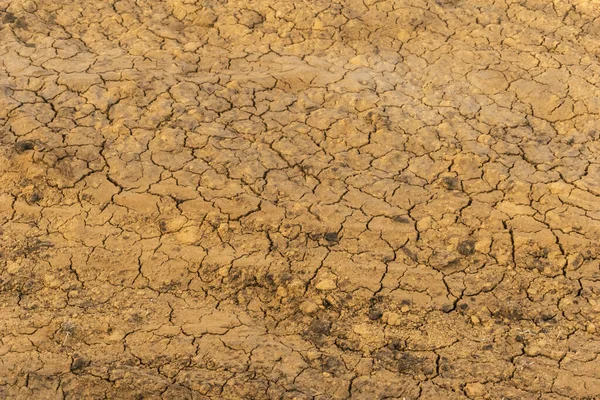 Textura Superficie Arcilla Agrietada Tierra Amarilla Seca Picada Suelo Fisura — Foto de Stock