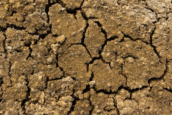 Rissige Lehmoberflächenstruktur Getrocknete Und Gehackte Gelbe Erde Spaltboden Alter Bruchsandhintergrund — Stockfoto