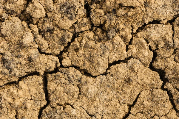 Cracked Clay Surface Texture Dried Chopped Yellow Earth Fissure Ground — Stock Photo, Image