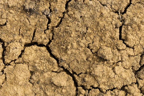 クラックされた粘土表面のテクスチャ 乾燥させ 黄色の大地 亀裂の地面 古い骨折砂の背景 砂漠での干ばつ クローズアップ — ストック写真