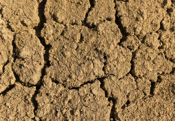 Ραγισμένη Άργιλος Υφή Επιφάνεια Αποξηραμένα Και Τεμαχισμένα Κίτρινο Χώμα Σχισμή — Φωτογραφία Αρχείου