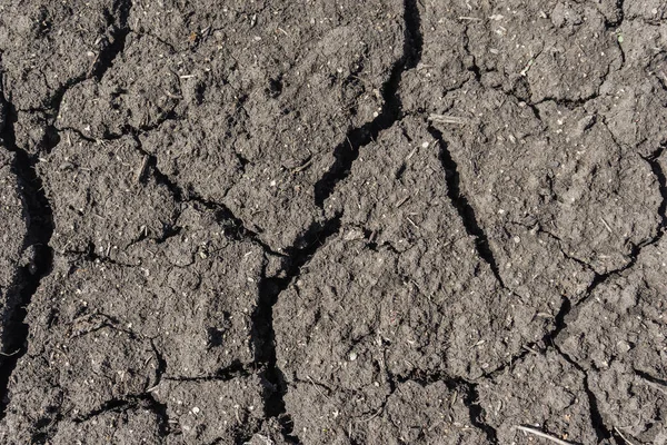灰色の土壌のテクスチャの背景の亀裂表面 乾燥し 切り刻まれた灰色の大地 古い亀裂暗い地面 クローズアップ — ストック写真
