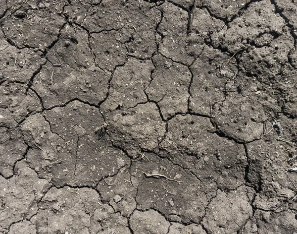 灰色の土壌のテクスチャの背景の亀裂表面 乾燥し 切り刻まれた灰色の大地 古い亀裂暗い地面 クローズアップ — ストック写真
