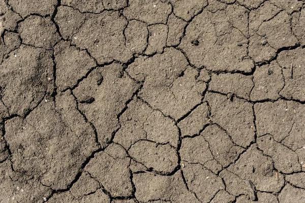 Superficie Agrietada Fondo Textura Suelo Gris Tierra Gris Seca Picada — Foto de Stock