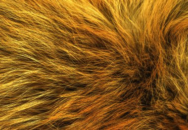 Kahverengi hayvan doğal yün dokusu, turuncu peluş, sarı tüylü kürk dokusu, kızıl beyaz yün ceket, yakın çekim
