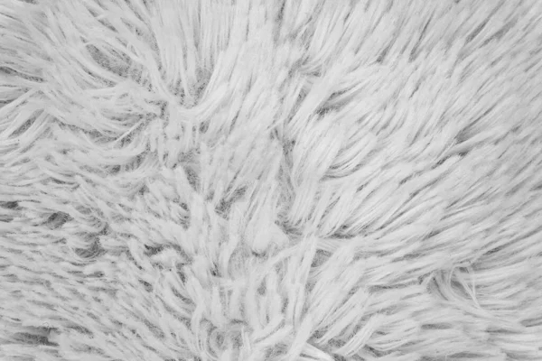 Blanc Moelleux Texture Laine Mouton Fond Laine Naturelle Peluche Texture — Photo