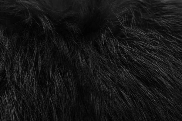 Czarny Biały Zwierzęcy Naturalny Wełna Tekstura Tło Szary Pluszowy Faktura — Zdjęcie stockowe