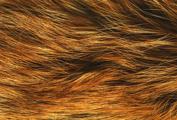 Kahverengi hayvan doğal yün dokusu, turuncu peluş, sarı tüylü kürk dokusu, kızıl beyaz yün ceket, yakın çekim