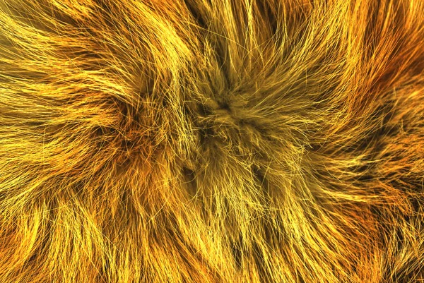 ブラウン動物の自然なウールの質感の背景 オレンジのぬいぐるみ 黄色のふわふわの毛皮の質感 生姜ホワイトロングウールコート クローズアップ — ストック写真