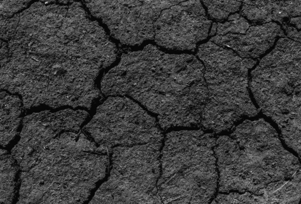Black Cracked Surface Grey Soil Texture Background Dark Dried Chopped — Stock Photo, Image