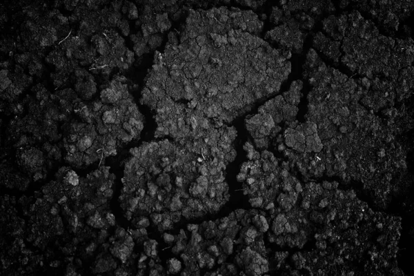 Siyah çatlamış gri toprak dokusu arka plan, koyu ve doğranmış gri toprak, eski çatlak karanlık zemin, yakın plan, erozyon