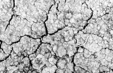 Beyaz çatlamış gri toprak dokusu arka plan, ışık kurumuş ve doğranmış gri toprak, eski çatlak karanlık zemin, yakın plan, erozyon