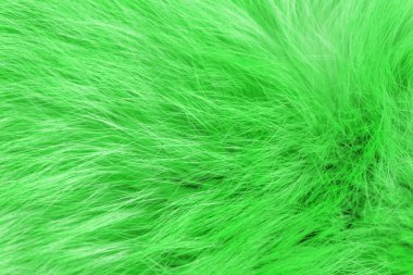 Yeşil kabarık yün dokusu, hayvan yünü arka planı, boyanmış kürk dokusu yakın plan.