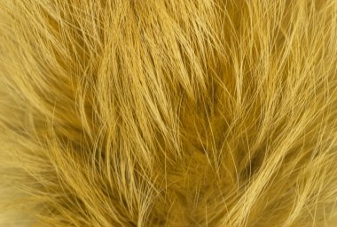 Kırmızı tüylü tilki yünü dokusu, doğal hayvan yünü arka planı, tasarımcılar için sarı kürk dokusu.