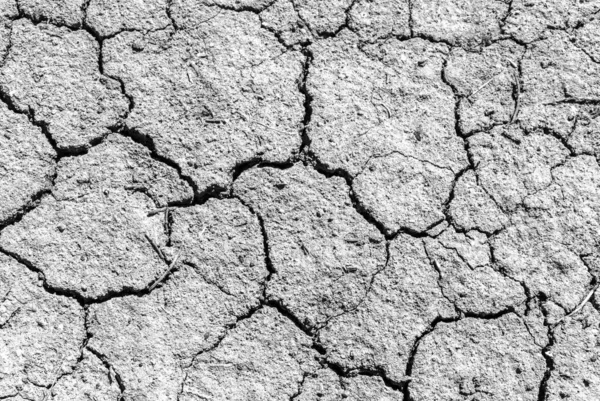 White Cracked Surface Grey Soil Texture Background Light Dried Chopped — Stock Photo, Image