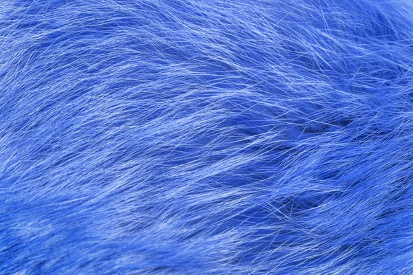 Blue fluffy wool texture, animal wool background, painted fur texture closeup