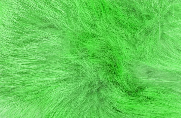 Yeşil kabarık yün dokusu, hayvan yünü arka planı, boyanmış kürk dokusu yakın plan.