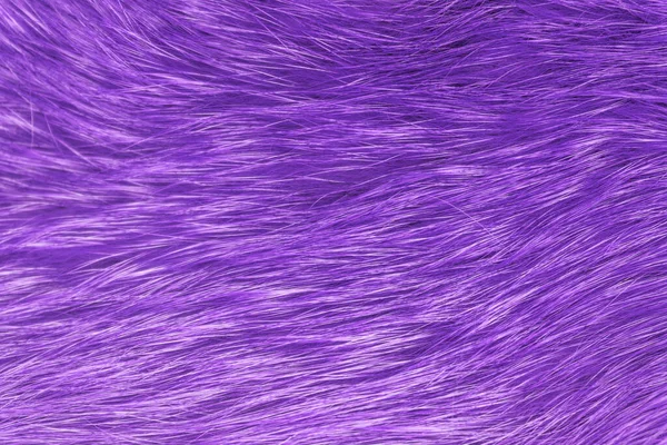 Textura Lana Esponjosa Púrpura Fondo Lana Animal Rosa Textura Piel —  Fotos de Stock