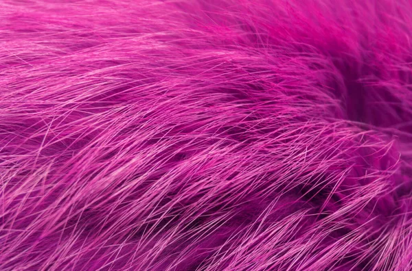 Lila Flauschige Wolltextur Rosa Tierwollhintergrund Bemalte Pelztextur Nahaufnahme — Stockfoto