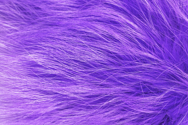 Purple fluffy wool texture, pink animal wool background, painted fur texture closeup