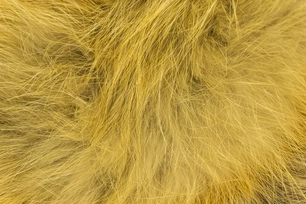 Red Fluffy Fox Wool Texture Natural Animal Wool Background Yellow — Stock Photo, Image