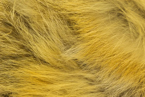 Red Fluffy Fox Wool Texture Natural Animal Wool Background Yellow — Stock Photo, Image