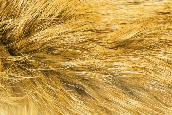 Texture Laine Renard Pelucheux Rouge Fond Laine Animale Naturelle Texture — Photo