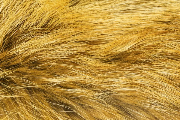 Red Flauschige Fuchswolle Textur Natürliche Tierwolle Hintergrund Gelbes Fell Textur — Stockfoto