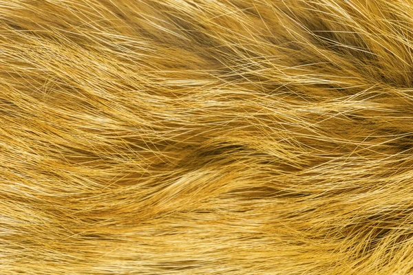 Vörös Bolyhos Róka Gyapjú Textúra Természetes Állati Gyapjú Háttér Sárga — Stock Fotó