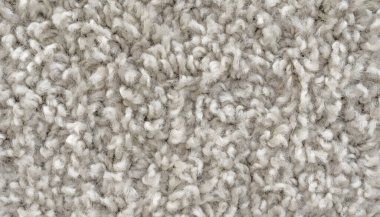 Beyaz tüylü halı dokusu, kısa yün arka planlı halı.