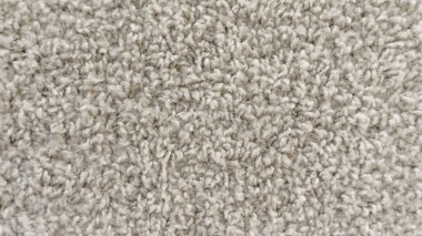 Beyaz tüylü halı dokusu, kısa yün arka planlı halı.