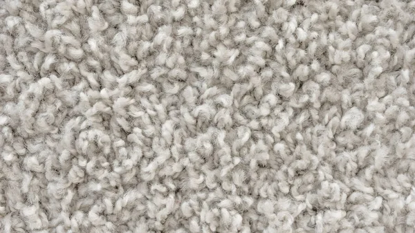 White Shaggy Carpet Texture Rug Short Wool Background — Stock Photo, Image