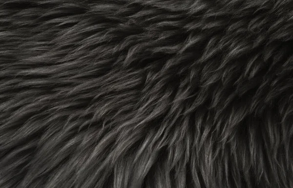 Czarna Wełna Zwierzęca Tekstura Beżowe Puszyste Tło Futra Ciemne Naturalne — Zdjęcie stockowe