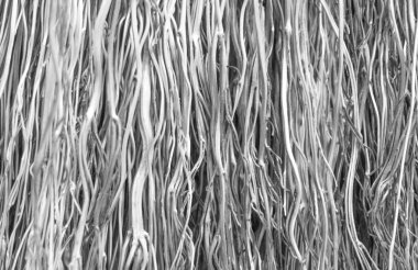 İnce solgun dallar arka planda, beyaz dallar demeti desen, süpürge şeritli, sarı fırça, eski kuru çalı