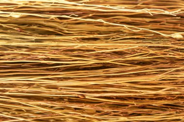 İnce solmuş dal demeti, bir demet sarı dal deseni, süpürge şeritli, sarı fırça, eski kuru çalı