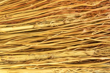 İnce solmuş dal demeti, bir demet sarı dal deseni, süpürge şeritli, sarı fırça, eski kuru çalı