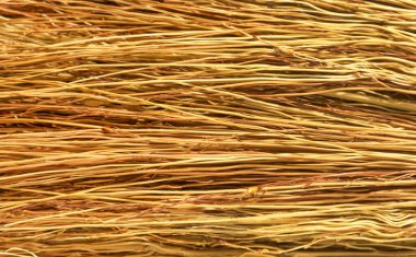 İnce solmuş dal demeti, bir demet sarı dal deseni, süpürge şeritli, sarı fırça, eski kuru çalı