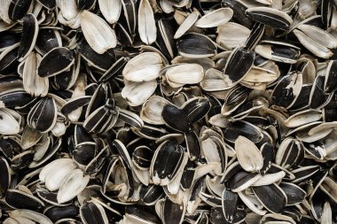 Ay çekirdeği kabuğu arka plan dokusu. Tohum israfı