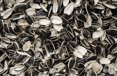 Ay çekirdeği kabuğu arka plan dokusu. Tohum israfı