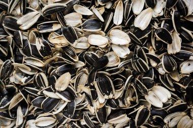 Ay çekirdeği kabuğu arka plan dokusu. Tohum israfı