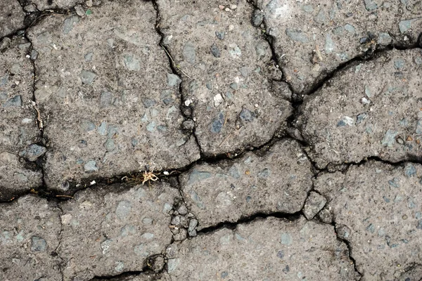 Weiße Getrocknete Und Rissige Erde Hintergrundstruktur Nahaufnahme Von Trockenem Spaltboden — Stockfoto