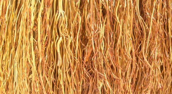Vékony Szárú Gallyakból Álló Köteg Háttér Rengeteg Sárga Ágak Textúra — Stock Fotó
