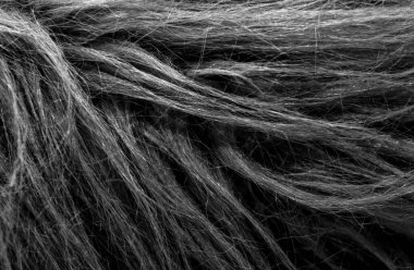 Siyah yumuşak doğal hayvan yünü dokusu. Deri yünü. Koyu tüylü kürkün yakın çekim dokusu. Gri peluş