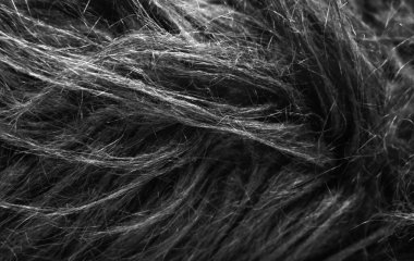Siyah yumuşak doğal hayvan yünü dokusu. Deri yünü. Koyu tüylü kürkün yakın çekim dokusu. Gri peluş