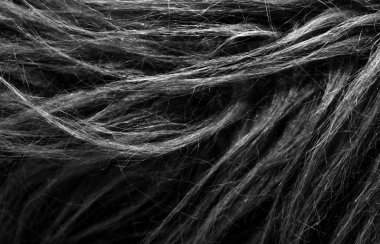 Siyah yumuşak doğal hayvan yünü dokusu. Deri yünü. Koyu tüylü kürkün yakın çekim dokusu. Gri peluş