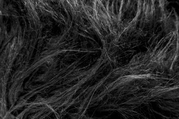 Černá Měkká Přírodní Zvířecí Vlna Textury Pozadí Kůže Vlna Detailní — Stock fotografie
