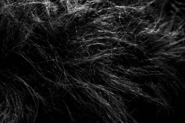 Schwarze Weiche Natürliche Tierwolle Textur Hintergrund Hautwolle Nahaufnahme Textur Aus — Stockfoto