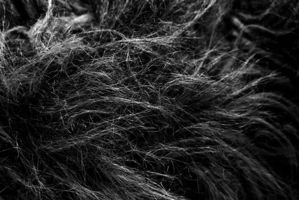 Zwarte Zachte Natuurlijke Dierlijke Wol Textuur Achtergrond Huidwol Close Textuur — Stockfoto